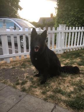 GSD