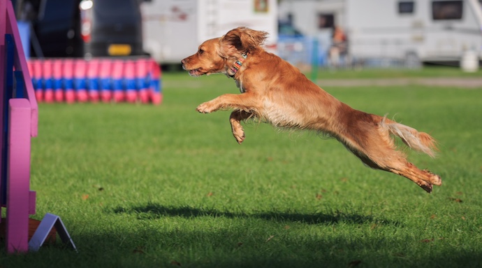 Hula taking off