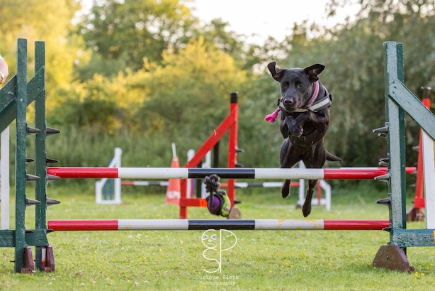 Spirit jumping