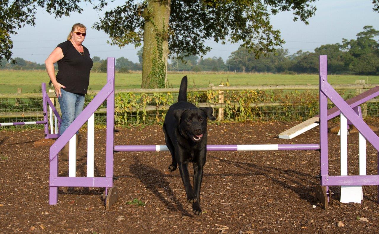 Tima and Tau Agility